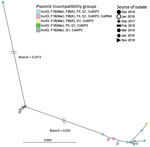 Thumbnail of Binary rational tree illustrating genetic diversity (presence–absence of genes) of the accessory genome of carbapenemase-producing Klebsiella pneumoniae isolates from the neonatal intensive care unit at Korle-Bu Teaching Hospital, Accra, Ghana, 2017–2019. Different shapes represent different dates of organism isolation. Blue and green shapes evolved from the gray; pink and yellow evolved from the blue. Scale bar indicates genetic differences per site.