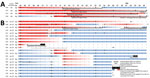 Individual trajectories of 24 long-term care facility residents over 30-day study period in outbreak of SARS-CoV-2 B.1.1.7 lineage infections, Germany, February–March 2021. A) Four unvaccinated residents; B) 20 residents who received their second dose of BNT162b2 COVID-19 mRNA vaccine (https://www.pfizer.com) on January 29 or 30, 2021. After a positive result in a healthcare worker, residents received AgPOCT and subsequently underwent regular RT-PCR testing for SARS-CoV-2. Dotted lines indicate respiratory symptoms, and continuous lines indicate hospitalization. AgPOCT, antigen point-of-care test; COVID-19, coronavirus disease; RT-PCR, reverse transcription PCR; SARS-CoV-2, severe acute respiratory syndrome coronavirus 2.