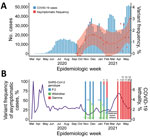 COVID-19 diagnoses, asymptomatic and variant frequency, and lethality, Paraná state, Brazil. A) COVID-19 diagnoses in Paraná and Federal University of Paraná (Curitiba, Brazil) mass testing program positivity rates by epidemiologic week. Blue bars summarize positive cases in Paraná by diagnosis day notified to state surveillance system through February 15, 2021. Red dots represent the fraction of positive cases in all samples from mass screening collection at Federal University of Paraná, smoothed by locally estimated scatterplot smoothing in the red line; pink shading indicates SE from locally estimated scatterplot smoothing fit. B) Overall lethality of COVID-19 in Paraná (purple line) and variant prevalence among asymptomatic and mildly symptomatic cases, by epidemiologic week. Numbers represent the absolute quantity of cases for each variant. Scales for the y-axes differ substantially to underscore patterns but do not permit direct comparisons. COVID-19, coronavirus disease; SARS-CoV-2, severe acute respiratory syndrome coronavirus 2.