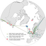 Polar map view of the palearctic and nearctic realm, and inferred spread of hemagglutinin clusters B1 and B2 of highly pathogenic avian influenza viruses (HPAIVs), subtype, clade 2.3.4.4b and their incursion routes to Iceland (blue) during 2021 (green arrows) and 2022 (turquoise arrows). Red dots indicate geographic locations where current (summer 2022) HPAIV-associated mass deaths in pelagic or colony-breeding seabirds have been reported. Data from were obtained from various sources (15–18). 