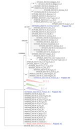 Phylogenetic tree of monkeypox virus (MPXV) sequences used in study of intrahost viral genome variation in patient with early monkeypox virus infection, Finland, 2022. The tree was inferred by the maximum-likelihood method implemented in IQtree2 software (www.iqtree.org), using 1,000 bootstrap replicates and the Hasegawa-Kishino-Yano plus empirical base frequencies plus invariate sites substitution model (Appendix). The curated dataset of MPXV reference genomes was downloaded from Nextstrain and aligned by using Nextalign (5). The reference dataset was downsampled to include only genomes with <5,000 ambiguous genome sites. For the sake of visualization, nodes with bootstrap values <70, as well as clusters with no lineage designation and no representatives from Finland, were deleted; only a subset of nearly identical genomes in the B.1 lineage is shown. Blue indicates the consensus sequences from the 4 patients from Finland; red indicates the hypothetical minority variant sequence (differing from the consensus sequence at sites G55133, C64426, and G190660) from patient 1. Lineage nomenclature (MPXV-1 clade 3, lineage B.1) is as suggested (C. Happi, unpub. data, https://virological.org/t/urgent-need-for-a-non-discriminatory-and-non-stigmatizing-nomenclature-for-monkeypox-virus/8537). The tapering bars indicate clusters of B.1.1 (pink), B.1.2 (green), and B.1.3 (blue), collapsed for clarity. Sequences are identified by GenBank accession number, date, and country of origin.