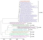 Maximum-clade credibility tree for influenza A virus antigen in black bears by immunohistochemical analysis, Quebec, Canada, inferred by using Bayesian and Markov Chain Monte Carlo analyses for the H5 hemagglutinin gene. Shown are relationships among black bear strains from this investigation (red), European 2021 H5 clade 2.3.4.4b HPAI strains (blue), and early Canada wild bird and poultry strains (purple). Colors and labels indicate the other H5 clade 2.3.4.4 subgroups. 