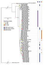 Maximum-likelihood tree of partial matrix gene (315-bp) sequences of canine enteric coronavirus recovered from infected canines, United Kingdom, 2020 and 2022. Sequences obtained from samples collected in 2022 are marked in purple (main strain) and blue (minor strains); stars indicate samples that were whole-genome sequenced as part of this study. Sequences obtained from 2020 are marked in orange. Scale bar indicates number of base differences per site. 