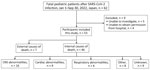 Patient selection in study of fatal SARS-CoV-2 infection among children, Japan, January–September 2022. CNS, central nervous system.