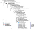 Maximum-likelihood phylogenetic tree for the neuraminidase (NA) gene in study of highly pathogenic avian influenza virus A(H5N1) infection in cats, South Korea, 2023. The phylogenetic tree is based on sequences of H5N1 NA sequences of viruses isolated recently, as well as on the HA gene sequence of other H5Nx viruses. Bootstrap values (1,000 replicates) >70% are displayed at the branch nodes. The black circle denotes virus isolated from poultry in South Korea, 2022–2023, and the black triangle denotes viruses isolated from raw duck meat used for cat food. The blue shaded square denotes viruses isolated from cats in shelter 1, and the red square indicates viruses isolated from cats in shelter 2. The blue outlined square indicates viruses isolated from cats in shelter 1 by SNU. Scale bar indicates number of nucleotide substitutions per site. SNU, Seoul National University.