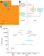 Transfer of Candida auris cases from Nevada to St. George, Utah, USA, and quantitative PCR monitoring of C. auris concentrations at the St. George wastewater treatment plant. A) Locations of the sewersheds of St. George, Ash Creek, and Cedar City (red) in Utah. The western border of Utah is adjacent to Nevada. Scale bar indicates 52 miles. B) Interstate transfers from Nevada to Utah of 3 patients with C. auris infection (red dash line represents the state border). C) Sampling dates and corresponding C. auris concentrations in wastewater treatment plant influent samples expressed as gc/L, over the time of the study. Nondetected samples are indicated as solid red dots, positive samples with concentrations less than the limit of quantification are indicated as empty blue dots, and positive samples with concentration at or equal to the limit of quantification are indicated as solid blue dots. The patient time frames are indicated by horizontal lines. The line for patient 3 is dashed to indicated that the person commuted continuously between Nevada and Utah. ACH, acute-care hospital; gc, gene copies; SNF, skilled nursing facility.