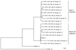 Neighbor-joining phylogenetic tree including clade III Candida auris isolates recovered from the St. George, Utah, USA, wastewater treatment plant on 2 collection dates (March 28 and April 4, 2023) and from a second patient. National Center for Biotechnology Information Sequence Read Archive accessions for all isolates are listed in the Appendix. Scale bar indicates single nucleotide polymorphism.