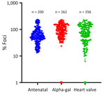 Results from a vesicular stomatitis virus and Bourbon virus rapid neutralization assay using serum samples from residents of North Carolina, USA. Normalized vesicular stomatitis virus-Bourbon virus neutralization (percentage foci compared with the control without serum) results are shown from 3 groups: antenatal women, persons with alpha-gal syndrome, and recent heart valve recipients. Colored dots represent singular serum sample.