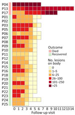 Heat map showing changes in the number of skin lesions over the course of hospitalization of 3 fatal (P04, P13, and P17) and 22 nonfatal cases in study of emerging monkeypox virus sublineage C.1 causing community transmission, Vietnam, 2023. Median follow-up was 3 (range 3–5) days. P, patient number. 