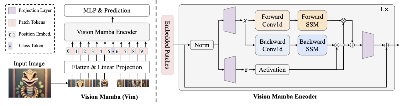 Vision Mamba: bidirectional state space model for vision