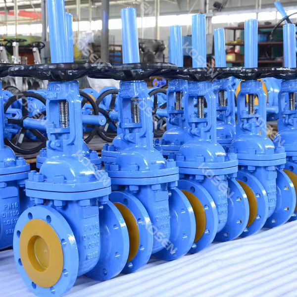 DIN F4 Rising Stem Gate Valve