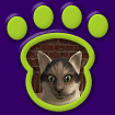 American Longhair cat named Shoes is peeking through a green pawprint icon.