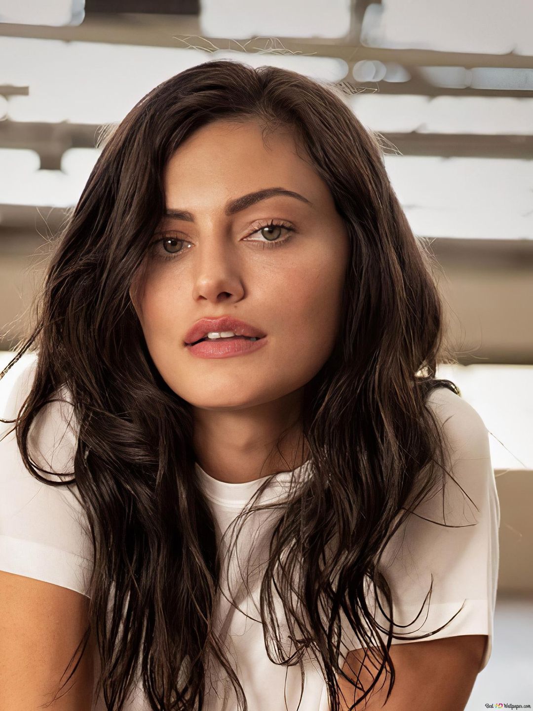 Phoebe Tonkin how did she became famous