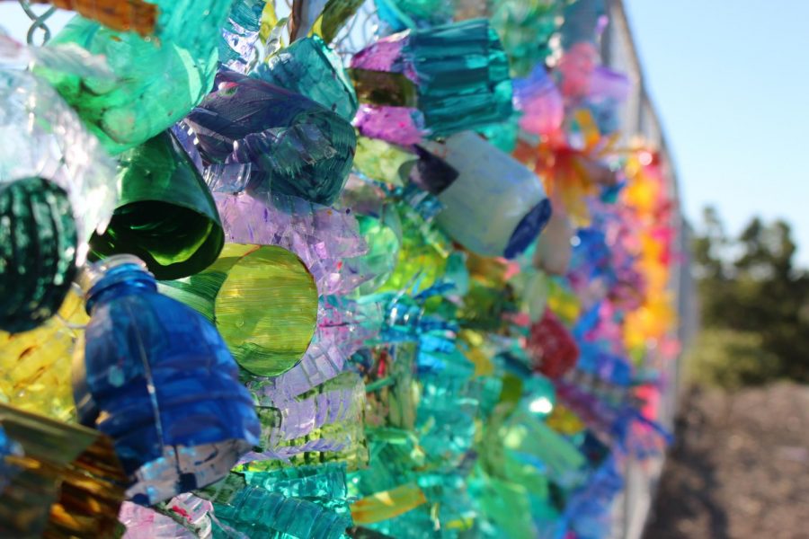 Students have transformed recycled water bottles into the coral instillation outside the 2000s building. They are already decorating for Festival of the Arts. 