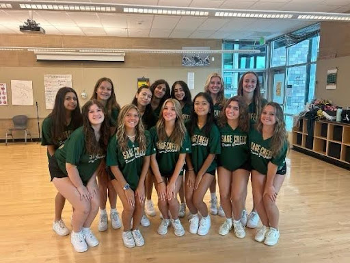 The Sage Creek Dance Team members come together united by the love of dance. Every member brings an energy different from the others, which allows them to continue showing the spirit and passion representative of Sage Creek High School.