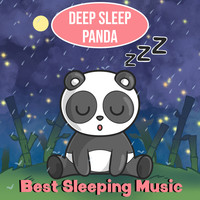 Best Sleeping Music