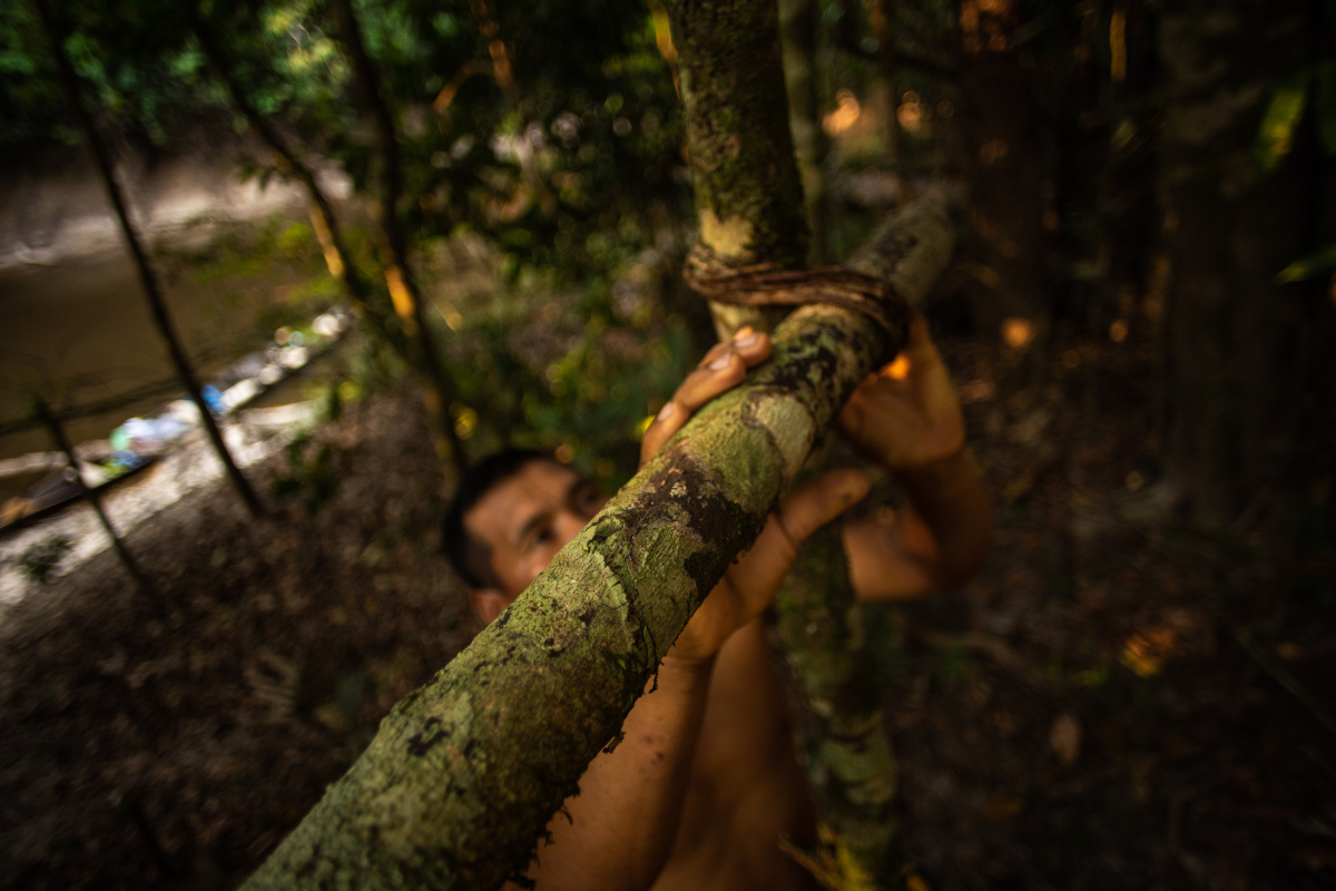 Matsés setting up camp for protection of uncontacted tribal group