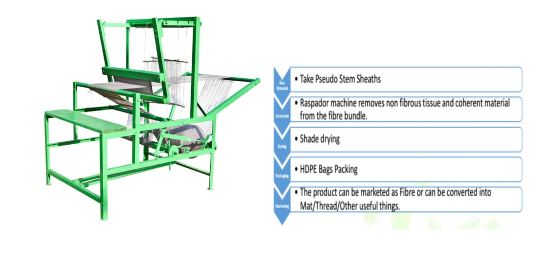 Banana fiber extraction