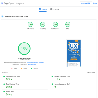 A screenshot from PageSpeed Insights showing the website for Research By The Sea getting a score of 100 in performance, accessibility, best practices, and SEO.