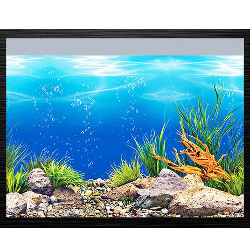 Fish Tank Easy Simple Underwater Drawing - krkfm