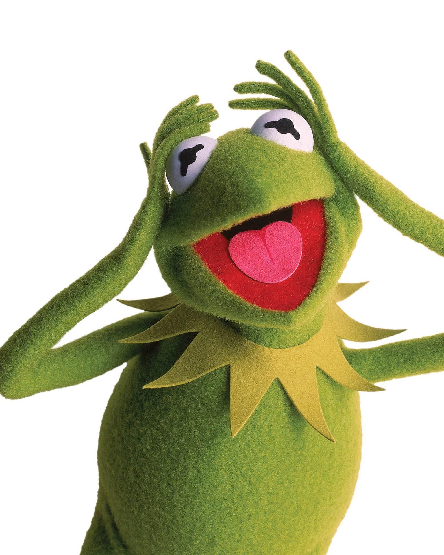 How do I make Kermit's thin hands : r