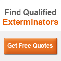 exterminators