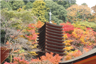 Nara 16 cooking classes