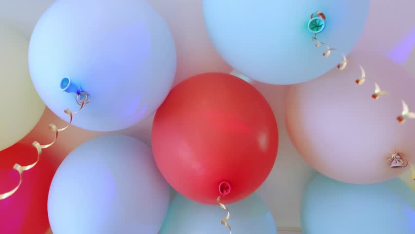 Multicolored helium balloons rise up and floating in air under the ceiling . Celebrating birthday party.