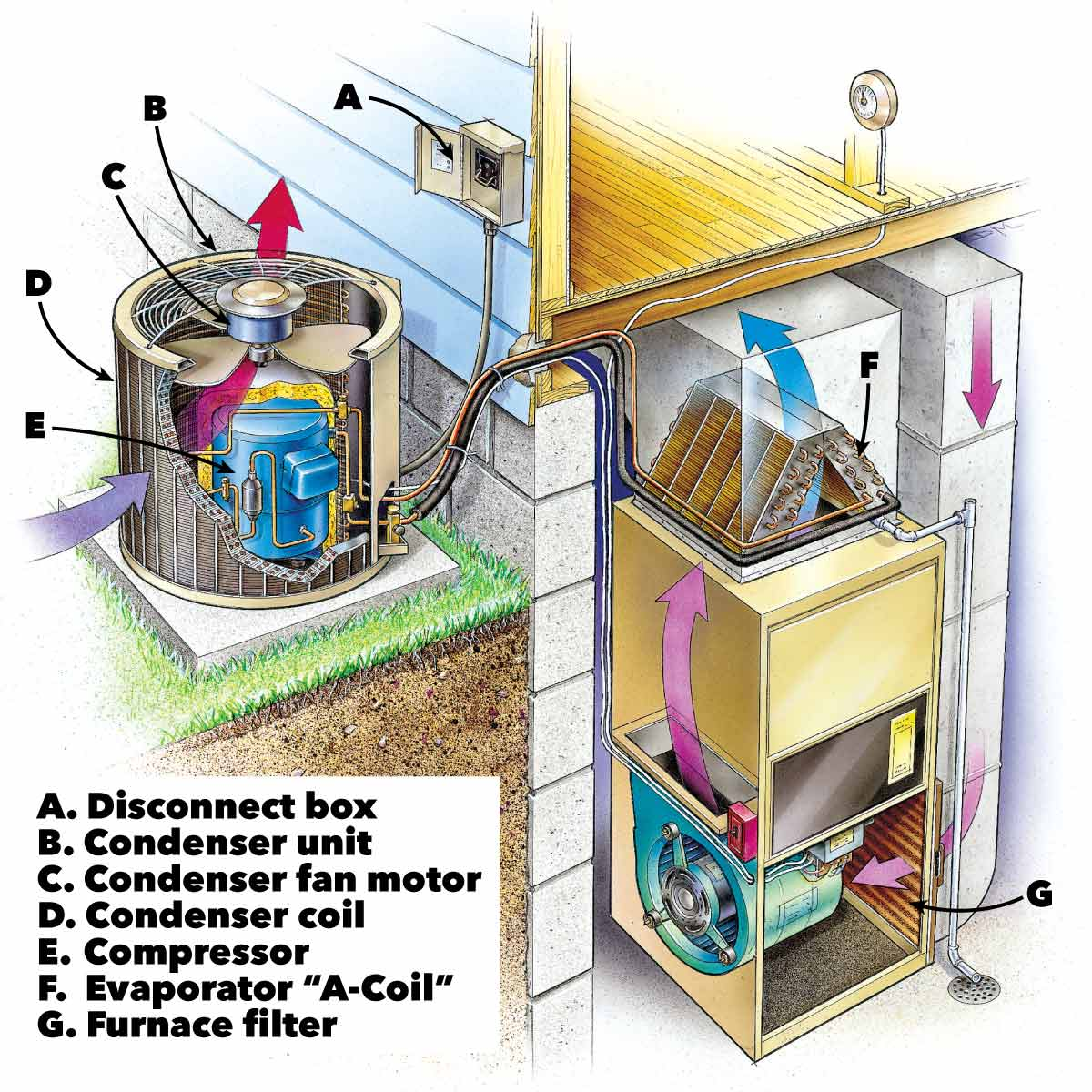 evaporator