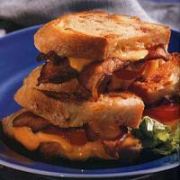 Grilled Cheddar, Tomato and Bacon Sandwiches_image