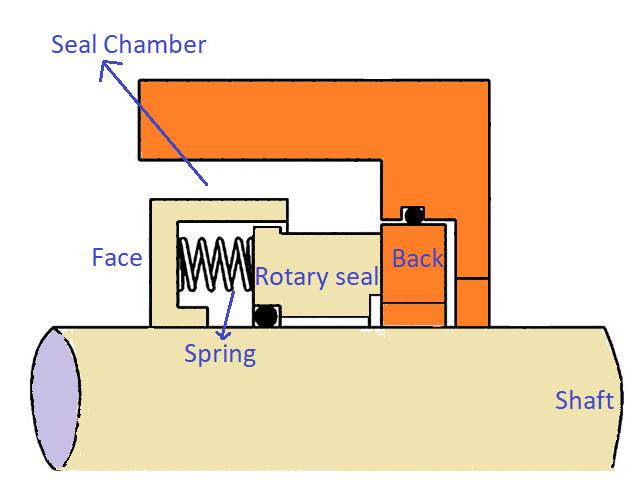 Face and Back of a mechanical seal