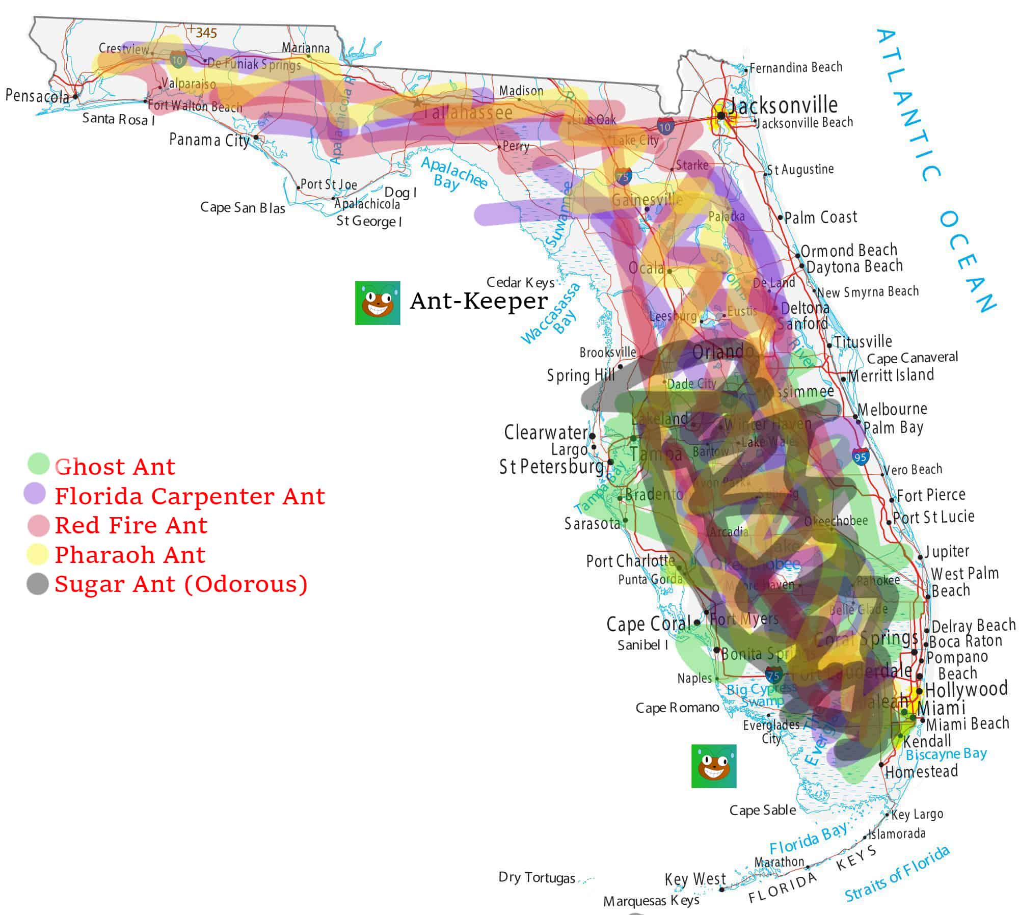 Types of Ants in Florida Map