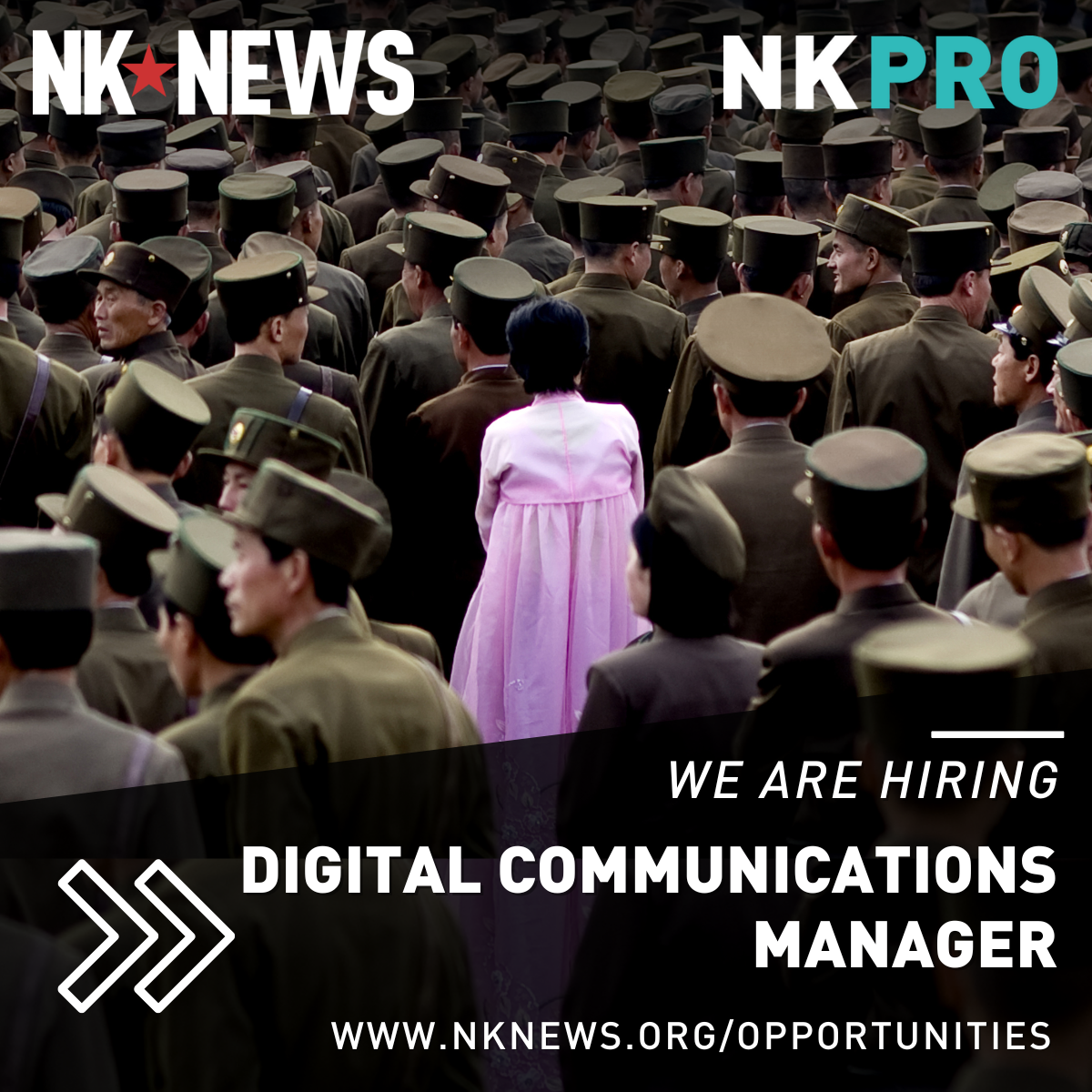 NK News is hiring