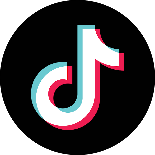 FileTikTok logosvg  Wikipedia