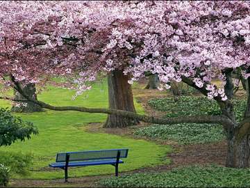 Spring park jigsaw puzzle online