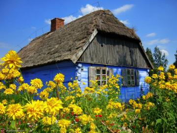 Open-air museum in Sierpc. jigsaw puzzle online