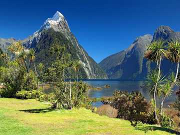 New Zealand jigsaw puzzle online