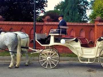 carriage, horse-drawn carriage online puzzle