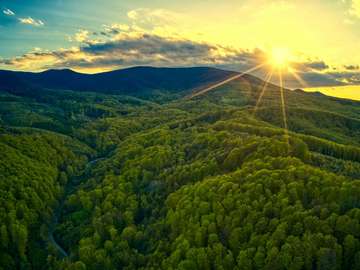 green trees on mountain under blue sky during daytime online puzzle