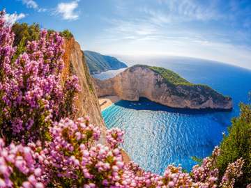 Navagio beach with shipwreck and flowers against sunset, Zakynthos island, Greece online puzzle