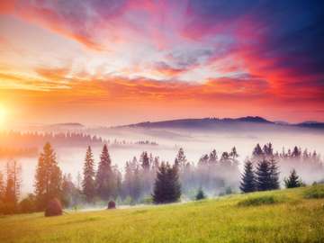 Tranquil morning moment in alpine valley jigsaw puzzle online