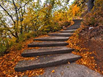 Winding concrete staircase in autumn online puzzle