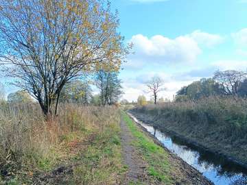 A walk by the river jigsaw puzzle online