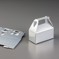 Silver Mini Gable Boxes