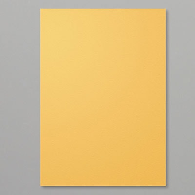 Bumblebee A4 Cardstock