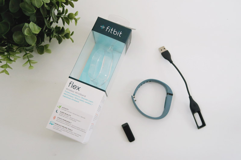 Fitbit Flex Review