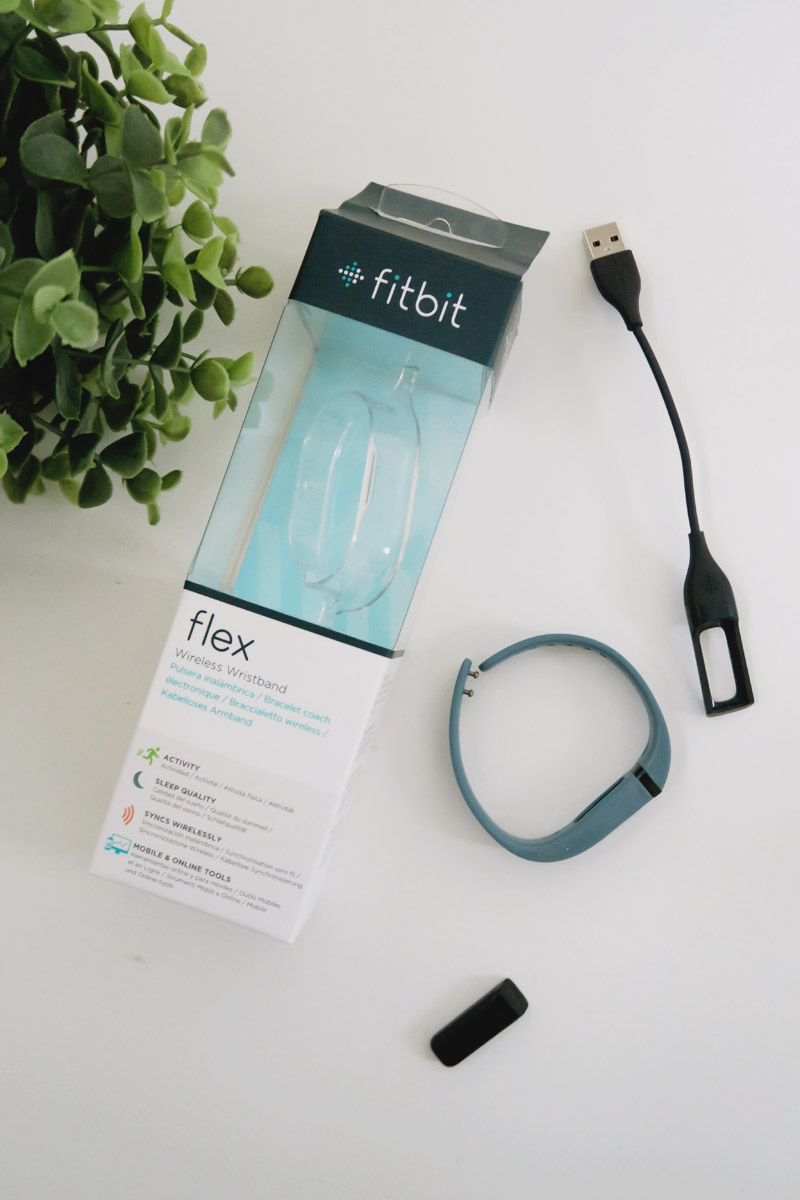 Fitbit Flex Review