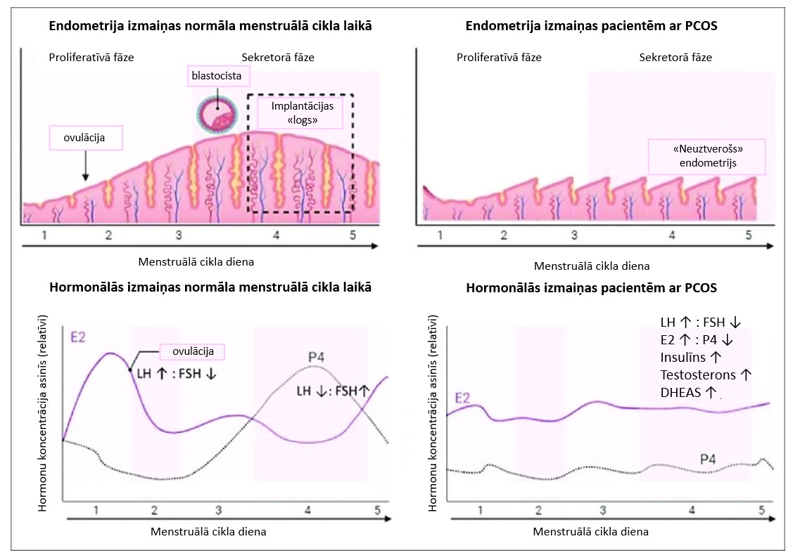 Homonālās svārstības menstruālajā ciklā.