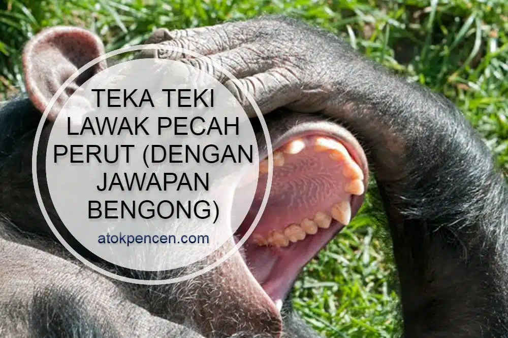 Teka Teki Lawak Pecah Perut (Dengan Jawapan Bengong)