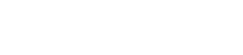 Auctioneer Software